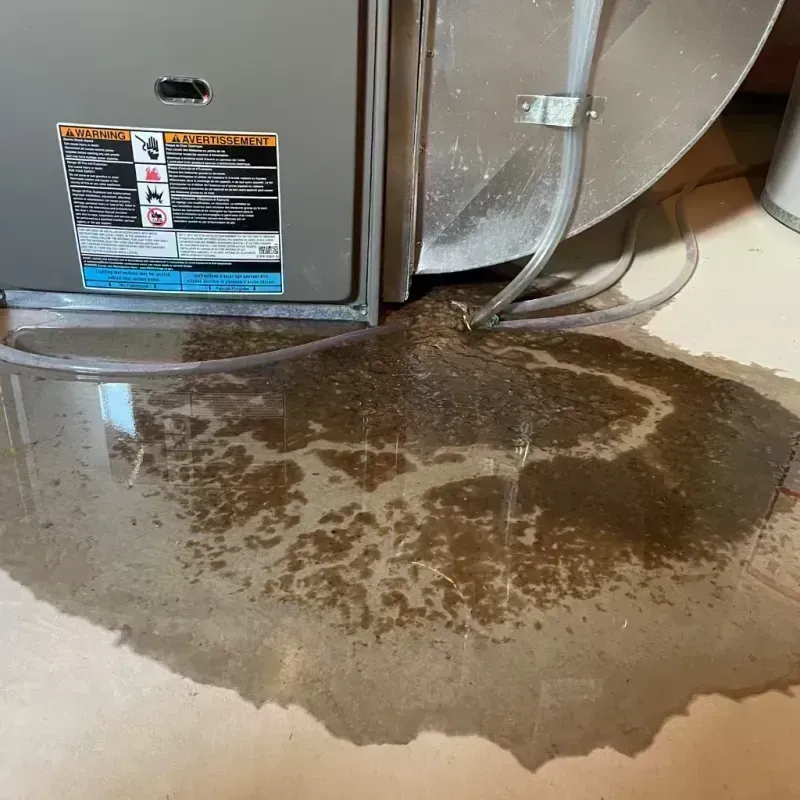 Appliance Leak Cleanup in Richmond, MN